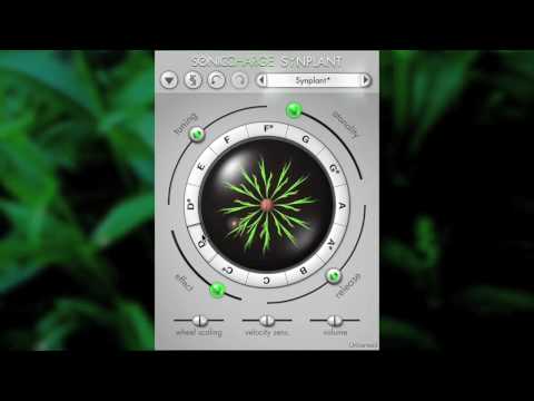 Free Download Synplant v1.2.2 VSTi x86 x64 WiN MAC