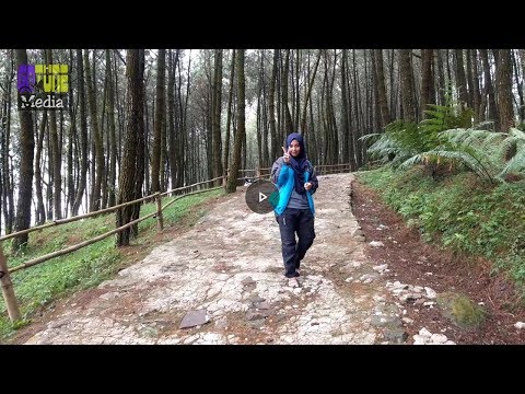Wisata Curug Citaman Taman Nasional Gunung Halimun Salak