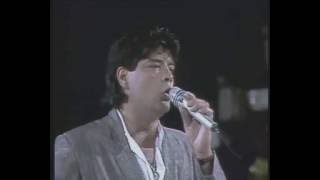 LOS CHUNGUITOS UN CUENTO DE HADAS GRANDES EXITOS