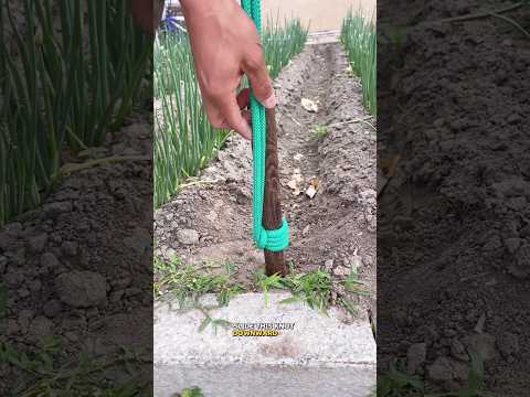 Pull Out Stuck Stakes Instantly with This Rope Trick