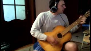 the ukrainians-cherez richku, cherez hai acoustic guitar кавер-версія