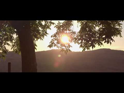 Walkthrough Walkthrough