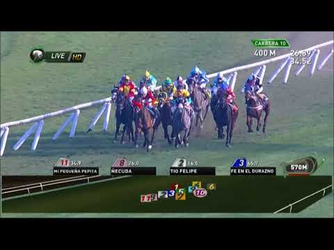 Carrera N° 10, Fecha reunión:01-09-2017 Club Hípico de Santiago