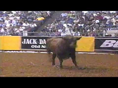 Tony Lama Boots bucks Wayde Joyal - 97 PBR Richmond
