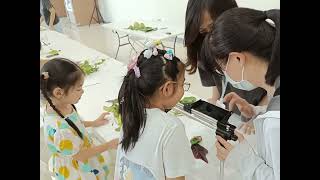夏日創藝x行動列車--奇幻釋迦國：絹印環保袋花草與精靈 & 淺山動物的停格保育之旅影片縮圖