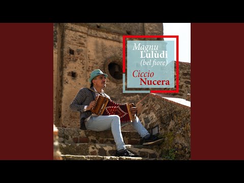 Magnu Luludi (bel fiore)