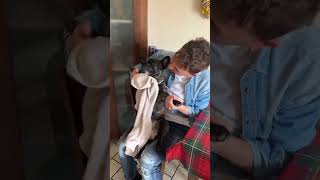 FINAL EPICO! (YouTube no quiere que mires este video) #shorts #tiktok