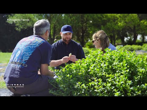 Episodio 02: Córdoba | PROYECTO TIERRAS 4ta temporada