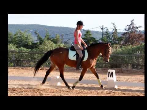 Riding Star : Competitions Equestres Playstation 2