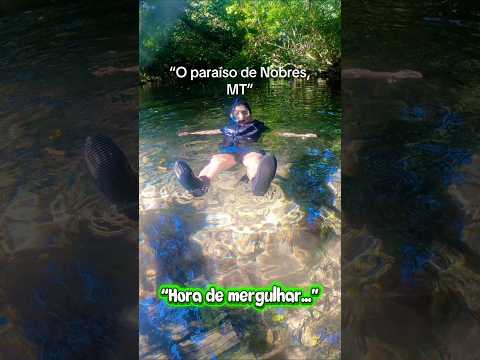 20 de novembro de 2025