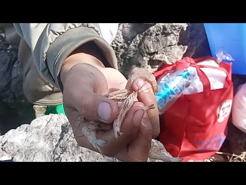 Firstime ku sumama sa pagbilao quezon province