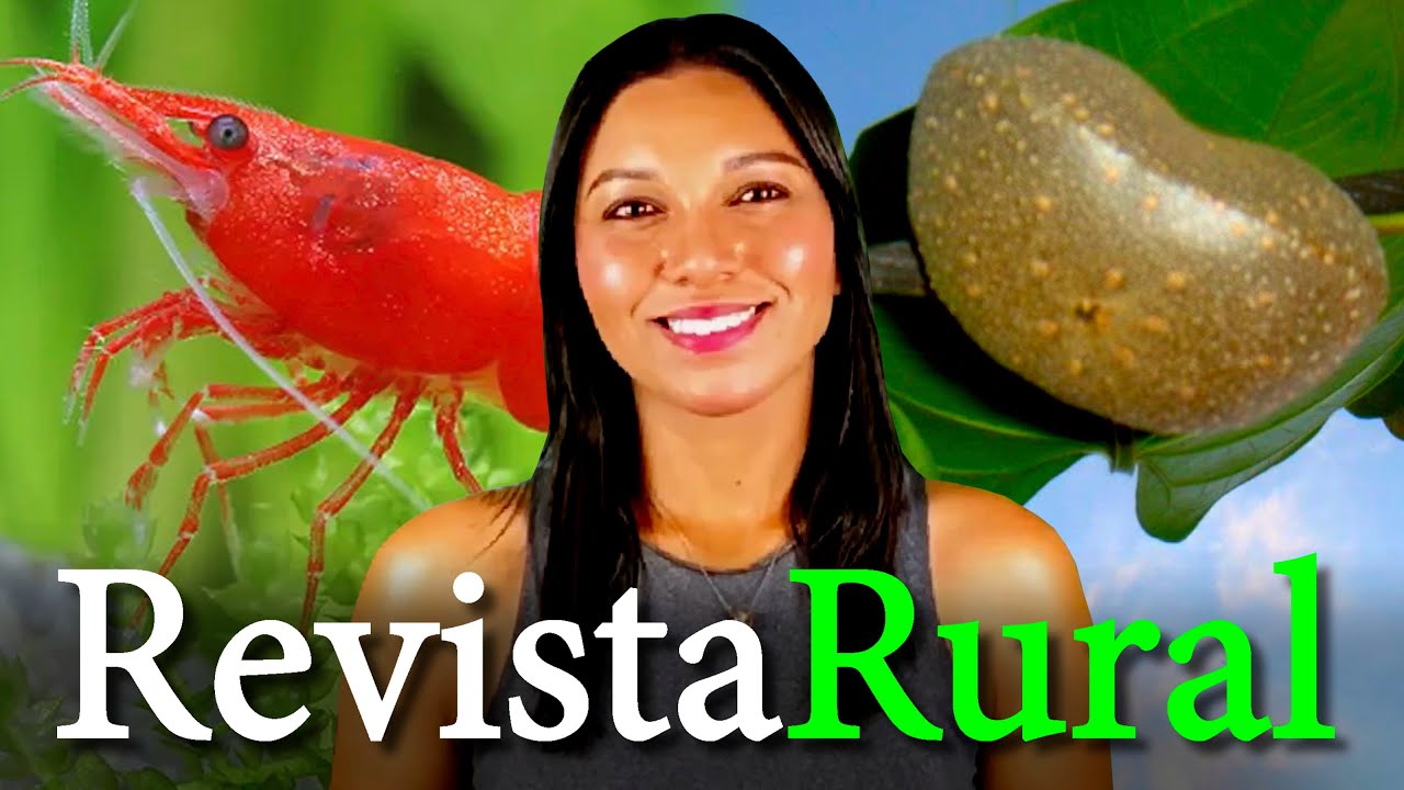 PROGRAMA REVISTA RURAL - 26/01/2025