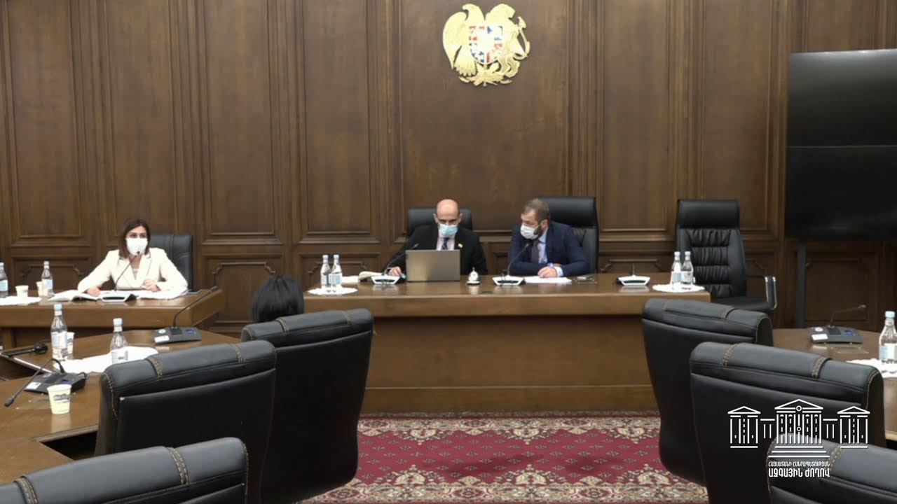 Անահիտ Ավանեսյանը ներկայացնում է առողջապահության նախարարության բյուջեն