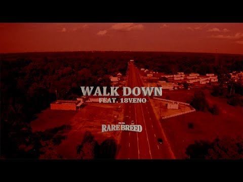 PG RA - Walk Down Ft. 18Veno Official Audio)
