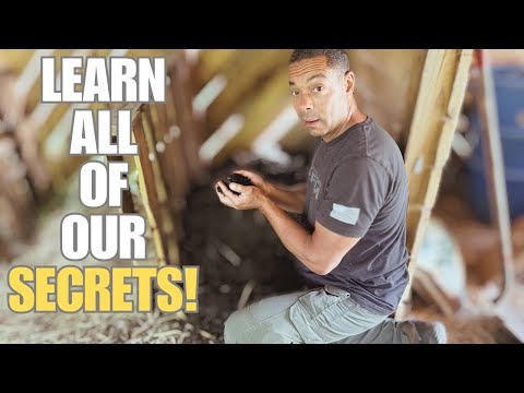 The Ultimate Guide to Composting at Home! - Part 3