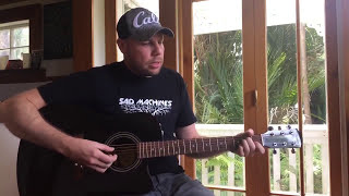 Billy Corgan - Mandarynne (Guitar Cover)