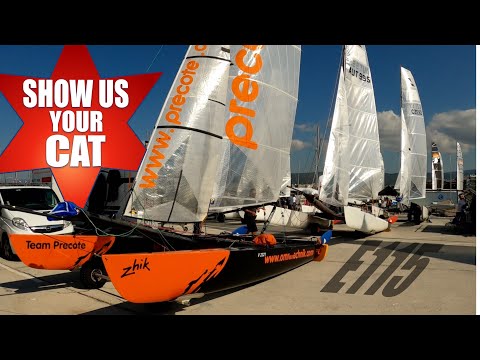 Show us your cat! Episode 115 Tornado Special