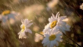 Hayley Westenra - Summer rain