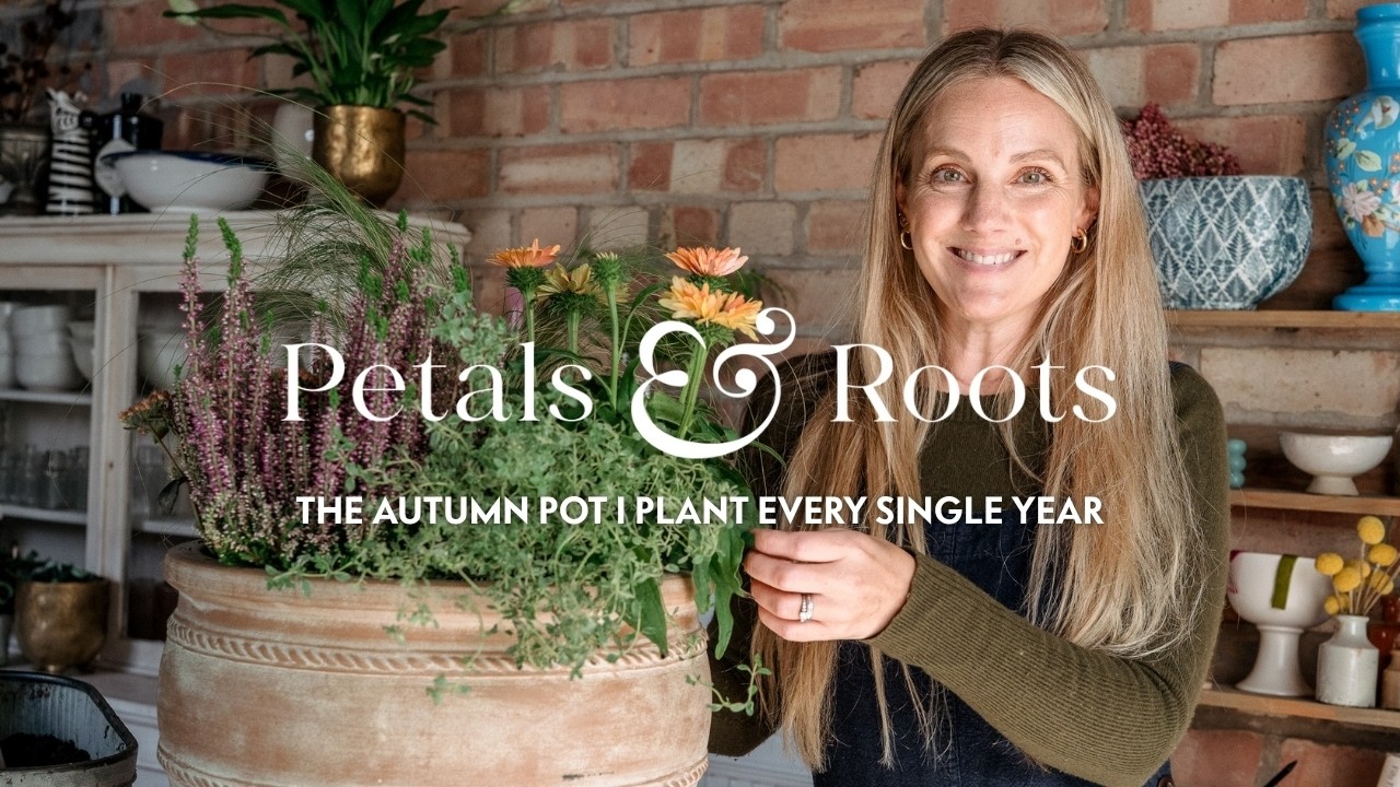The Autumn Pot I Plant Every Single Year | Petals & Roots: Episode 59 - YouTube