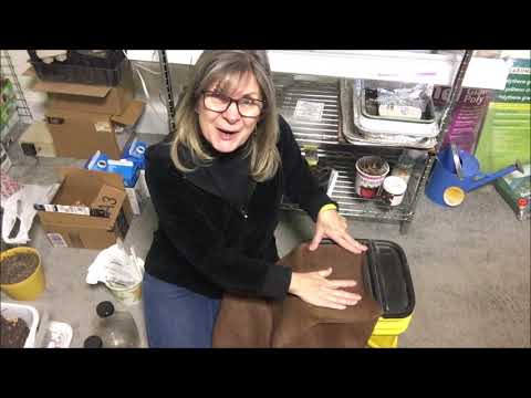 Making a New Worm Bin || To move over worms