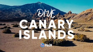 Scuba Diving in the Canary Islands: Volcanic Landscapes, Big Life & Year-Round Adventure