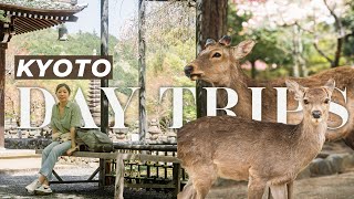Easy Day Trips from Kyoto, Japan: Nara Park Vlog & Arashiyama | Kyoto Travel Vlog