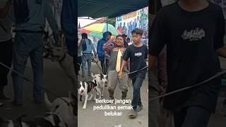Download lagu Just Rant and Ignore the Noise, Honey #fun #unique #funny #hilarious #entertainment mp3 Download lagu Just Rant and Ignore the Noise, Honey #fun #unique #funny #hilarious #entertainment mp3