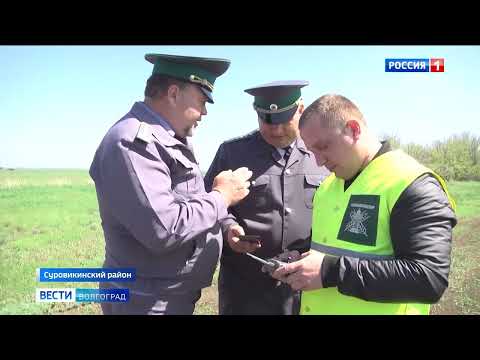 Управлением Россельхознадзора осуществлен мониторинг карантинного фитосанитарного состояния земель в Волгограде