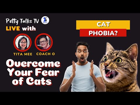 How to Overcome the Fear of Cats