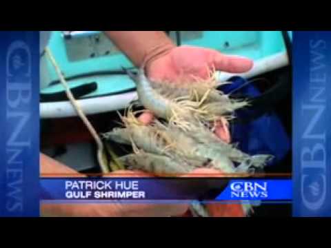 CBN NewsWatch: August 16, 2010 - CBN.com