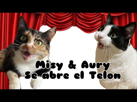 Misy & Aury se abre el