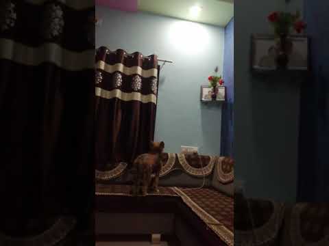 My Aena.. Playing with little bird🦋