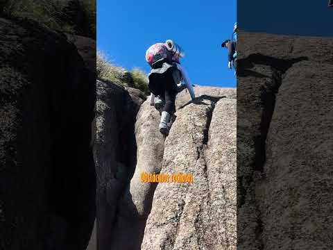 Conheça o Pico dos Marins - a trilha mais fascinante de São Paulo #trilha #picodosmarins #natureza
