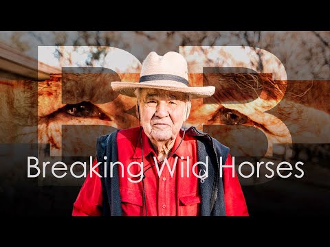 Tales from another Time: Breaking and Breeding Horses 1939 Age 14