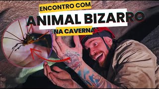 CAVERNA CLAUSTROFÓBICA E ANIMAIS QUE VIVEM NA ESCURIDÃO!