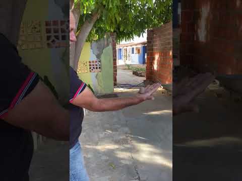 Seu Antônio de Altaneira no Ceará e sua ciência para descobrir onde existe águas profundas.