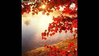 Điệp Khúc Mùa Thu (chưa rõ tên tác giả) - Tuấn Vũ & Sơn Ca