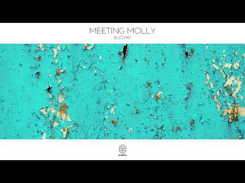 Meeting Molly - Blizzard