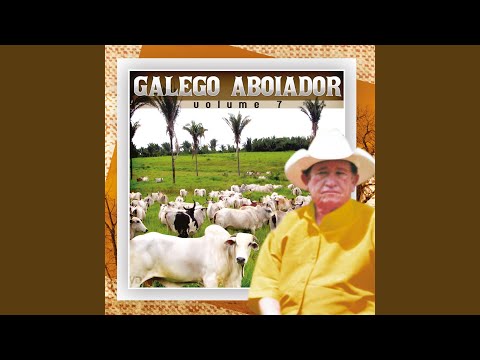 Tributo a Cara Véia