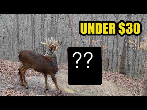 DIY Gravity Feeder that Big Bucks Will Actually Use!