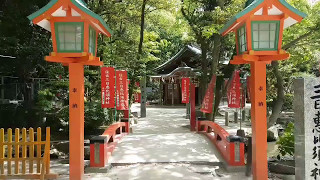 Traveling Japan - Training Swordsmanship