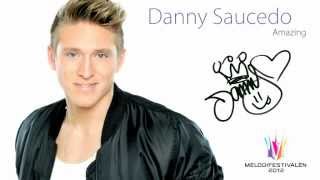 Danny Saucedo - Amazing (Audio)