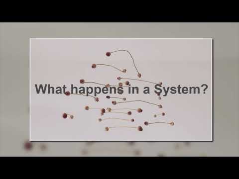 Was passiert in einem System einer Organisation, wenn kommuniziert wird?