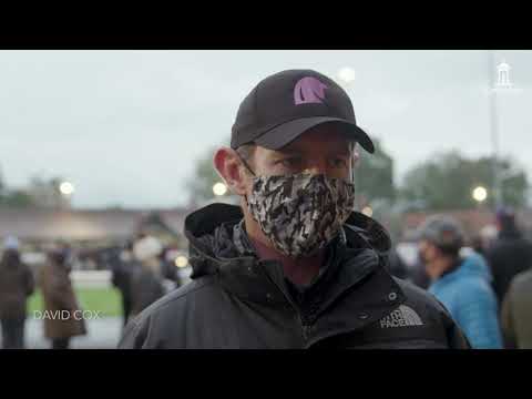 Tattersalls October Yearling Sale Book 2 2020 Day 2 Review