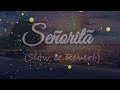 Señorita(slowed and reverb) | shawn mendes & camila cabello | #slowedandreverb #edit #senorita | Señorita(slowed and reverb) | shawn mendes & camila cabello | #slowedandreverb #edit #senorita |