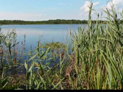 Polesia czar -  Polish tango - K. Cwynar - Poleski Park Narodowy