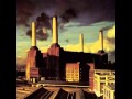 Pigs (Three Different Ones) - Pink Floyd (HQ ...