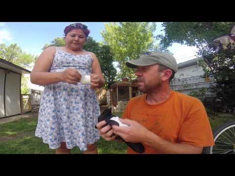 How To Treat A Broken Bird Wing