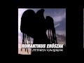 Romantikus Erőszak-Itthon vagyunk 