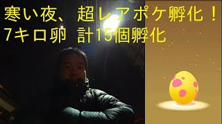 リオル ポケットモンスター ナマズン イワーク ジャノビー